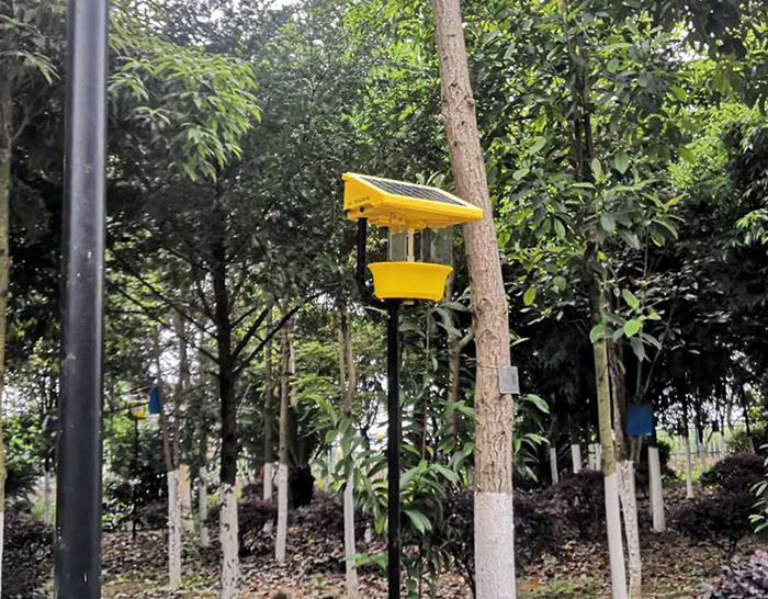 柑桔免费观看美女直播能有效杀死多大面积