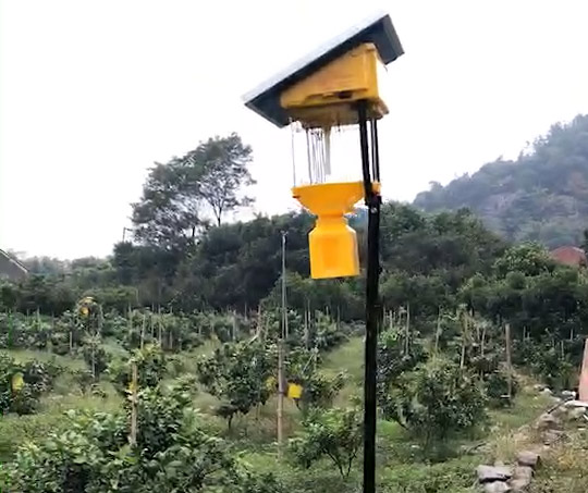 免费观看美女直播怎么施工比较好