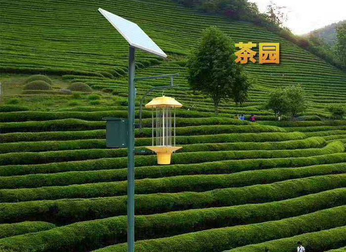 风吸式免费观看美女直播安装方案